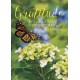 TREE FREE GREETING CARD GRATITUDE BUTTERFLY